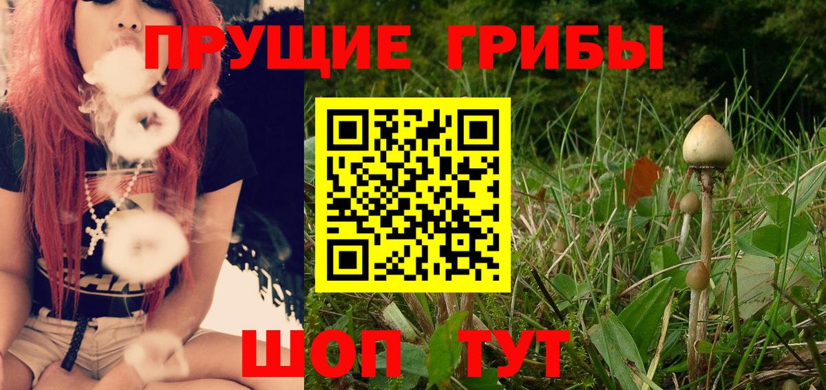 Псилоцибиновые грибы мухоморы Изобильный
